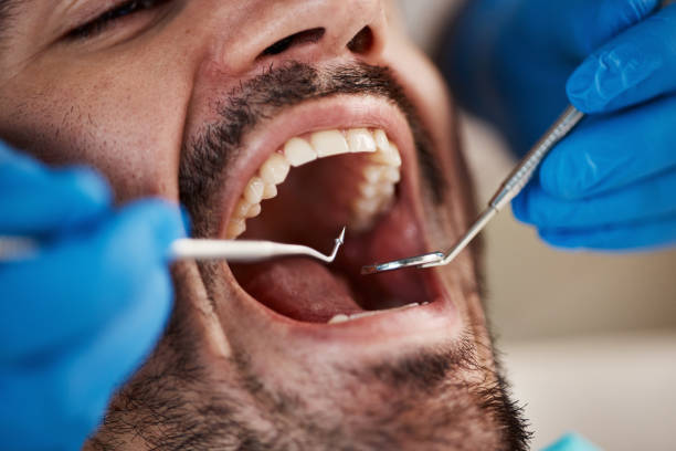 Best Urgent Dental Care  in Seco Mines, TX